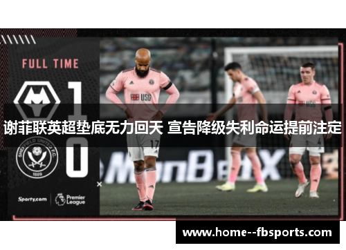 谢菲联英超垫底无力回天 宣告降级失利命运提前注定